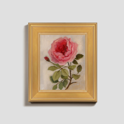 Day 3 - Garden Rose