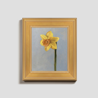 Day 26 - Daffodil