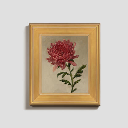 Day 14 - Chrysanthemum