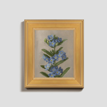 Day 13 - Forget Me Nots