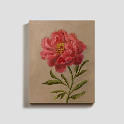 Day 11 - Peony