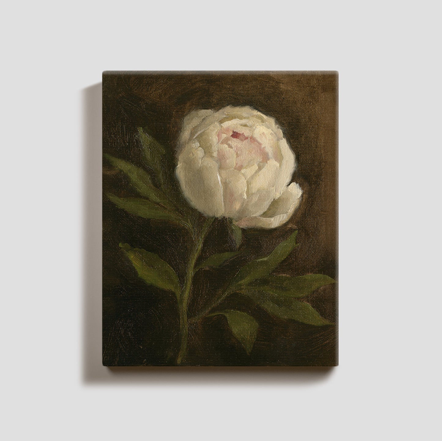 Day 5 - Peony