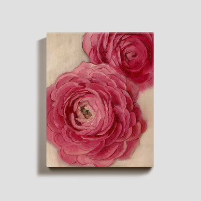 Day 6 - Ranunculus