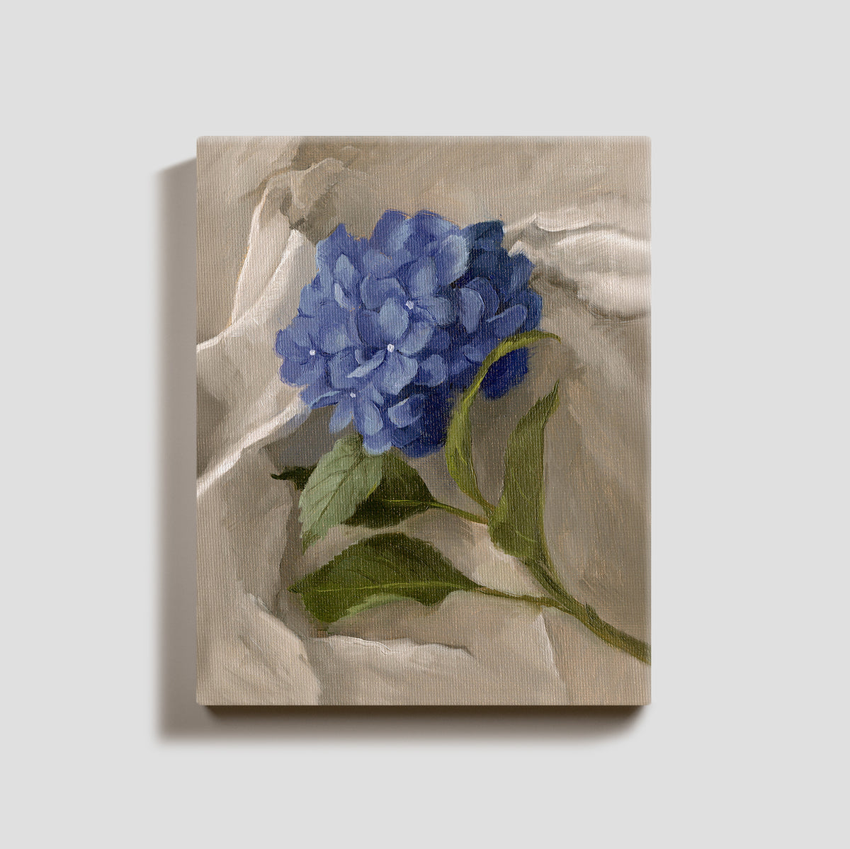 Day 12 - Hydrangea
