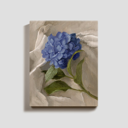 Day 12 - Hydrangea