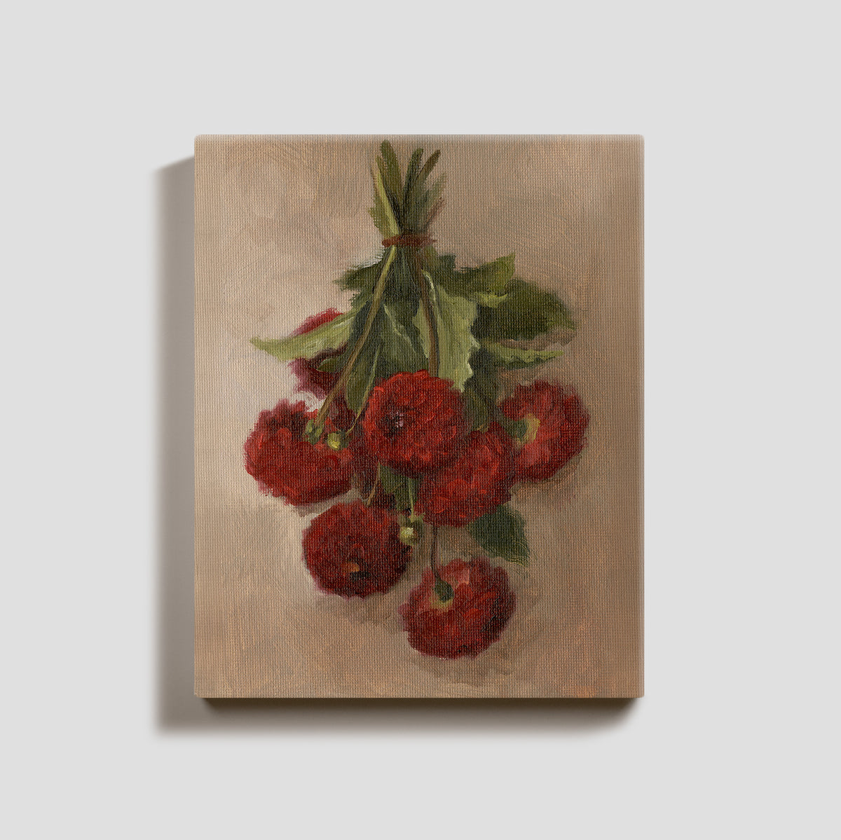 Day 1 - Dahlias