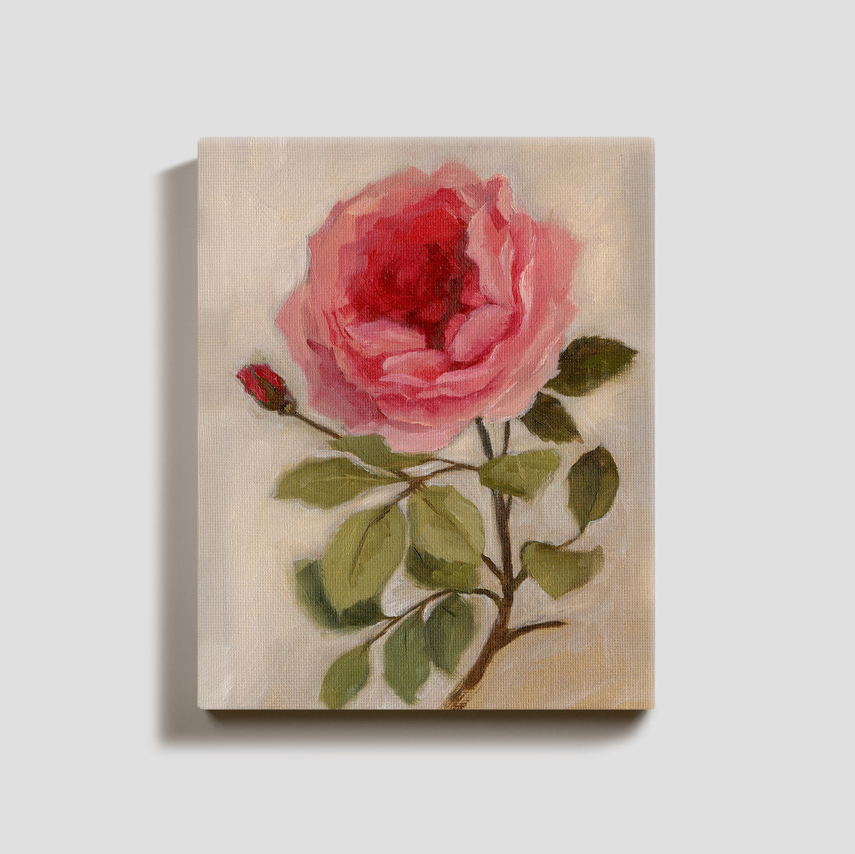 Day 3 - Garden Rose