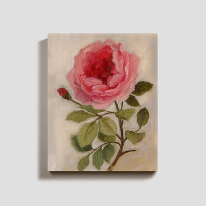 Day 3 - Garden Rose