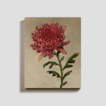 Day 14 - Chrysanthemum