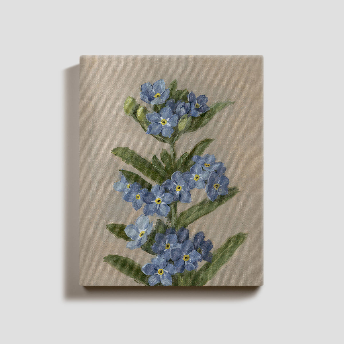 Day 13 - Forget Me Nots