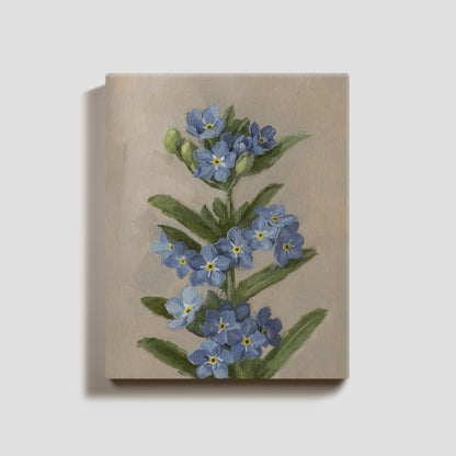 Day 13 - Forget Me Nots