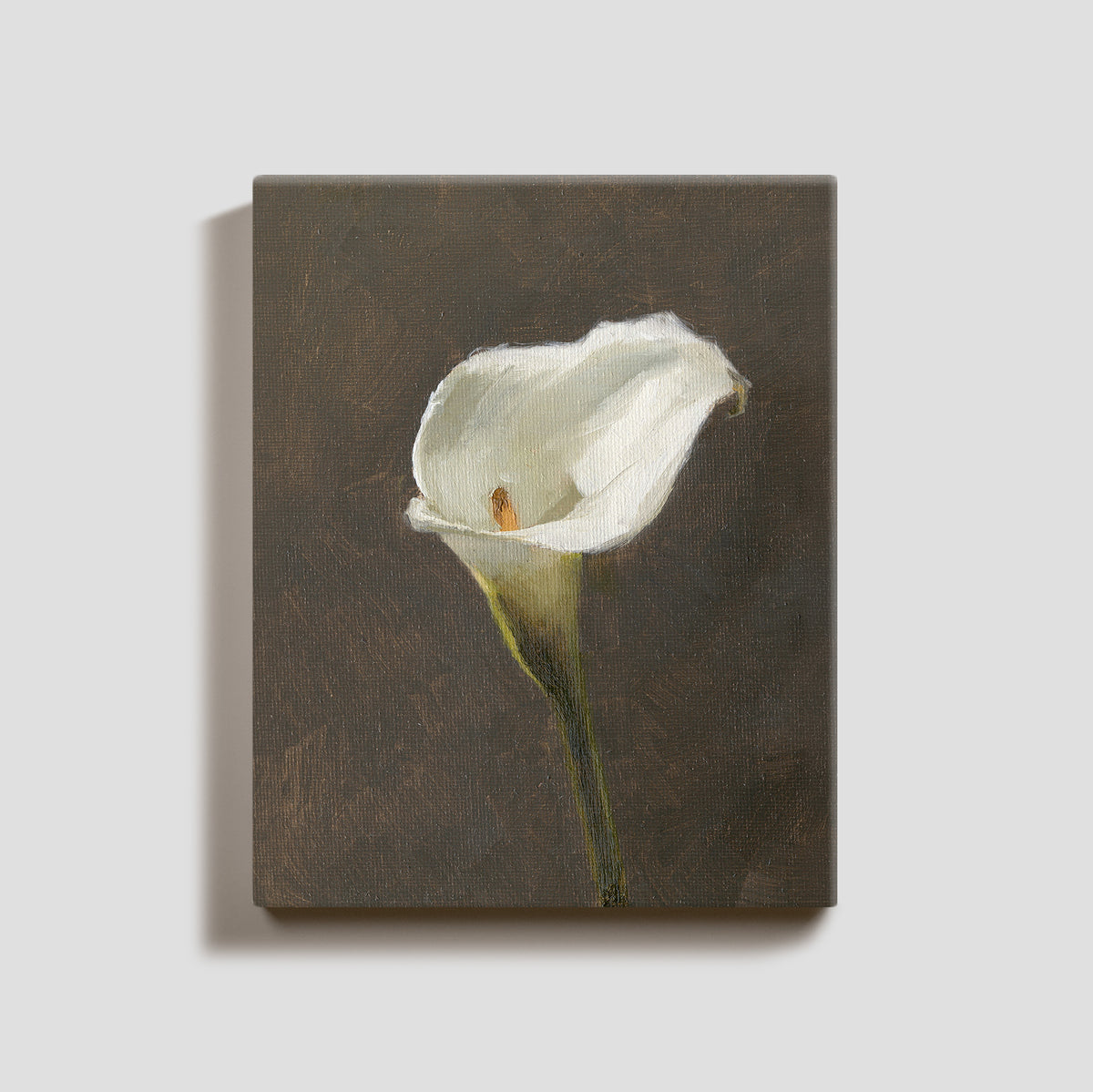 Day 22 - Calla Lily