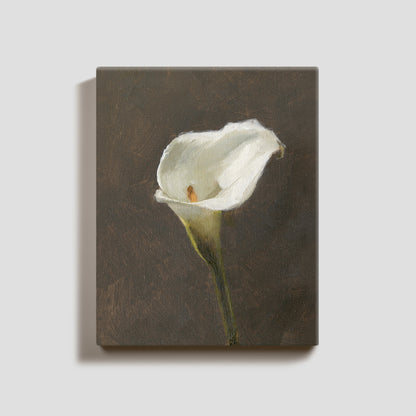 Day 22 - Calla Lily