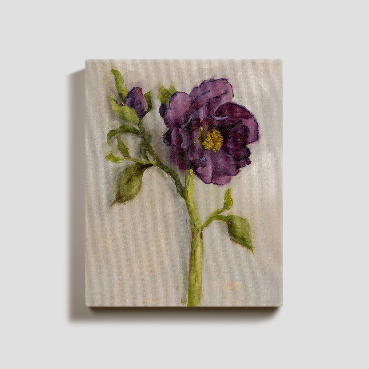 Day 4 - Hellebore