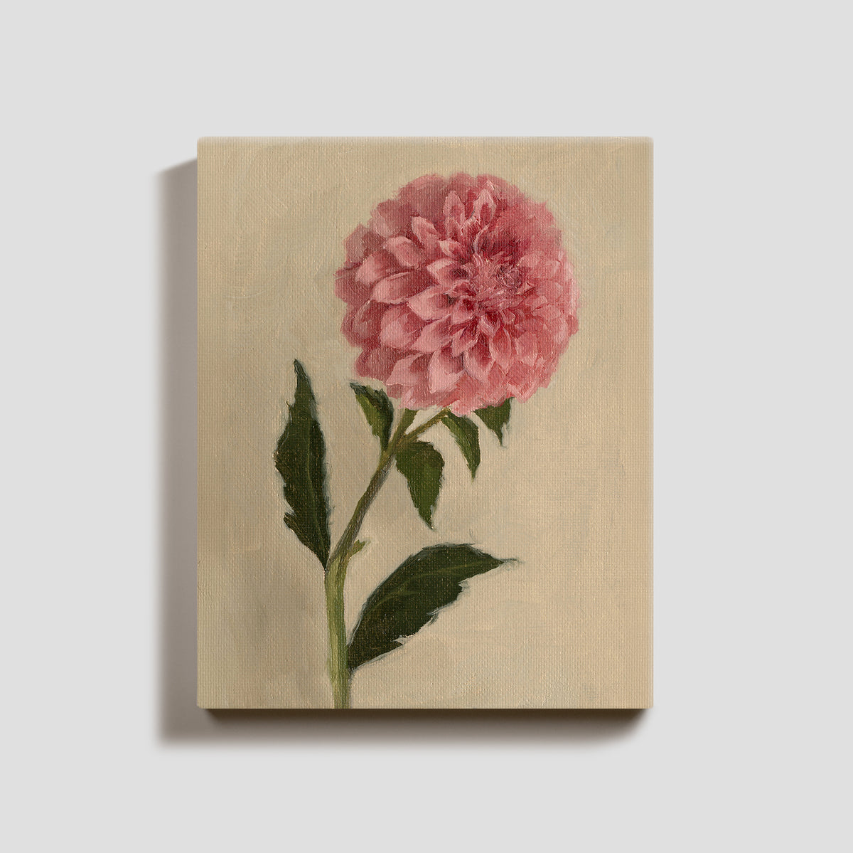 Day 16 - Dahlia