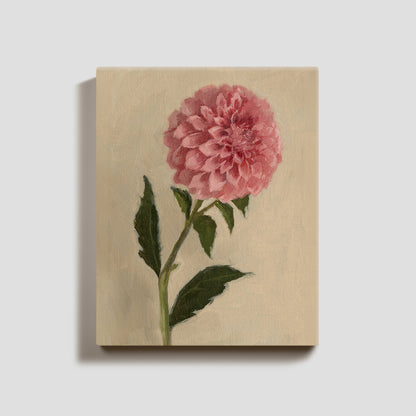 Day 16 - Dahlia