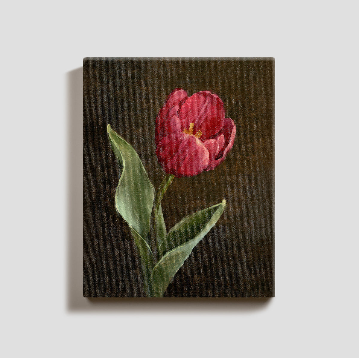 Day 19 - Tulip