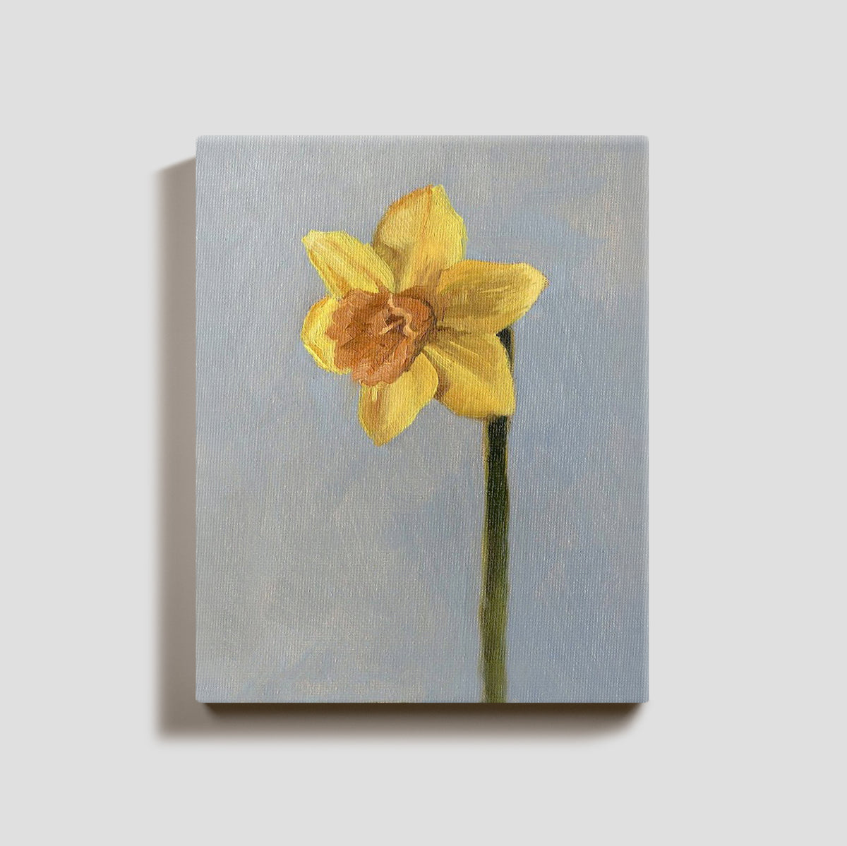 Day 26 - Daffodil