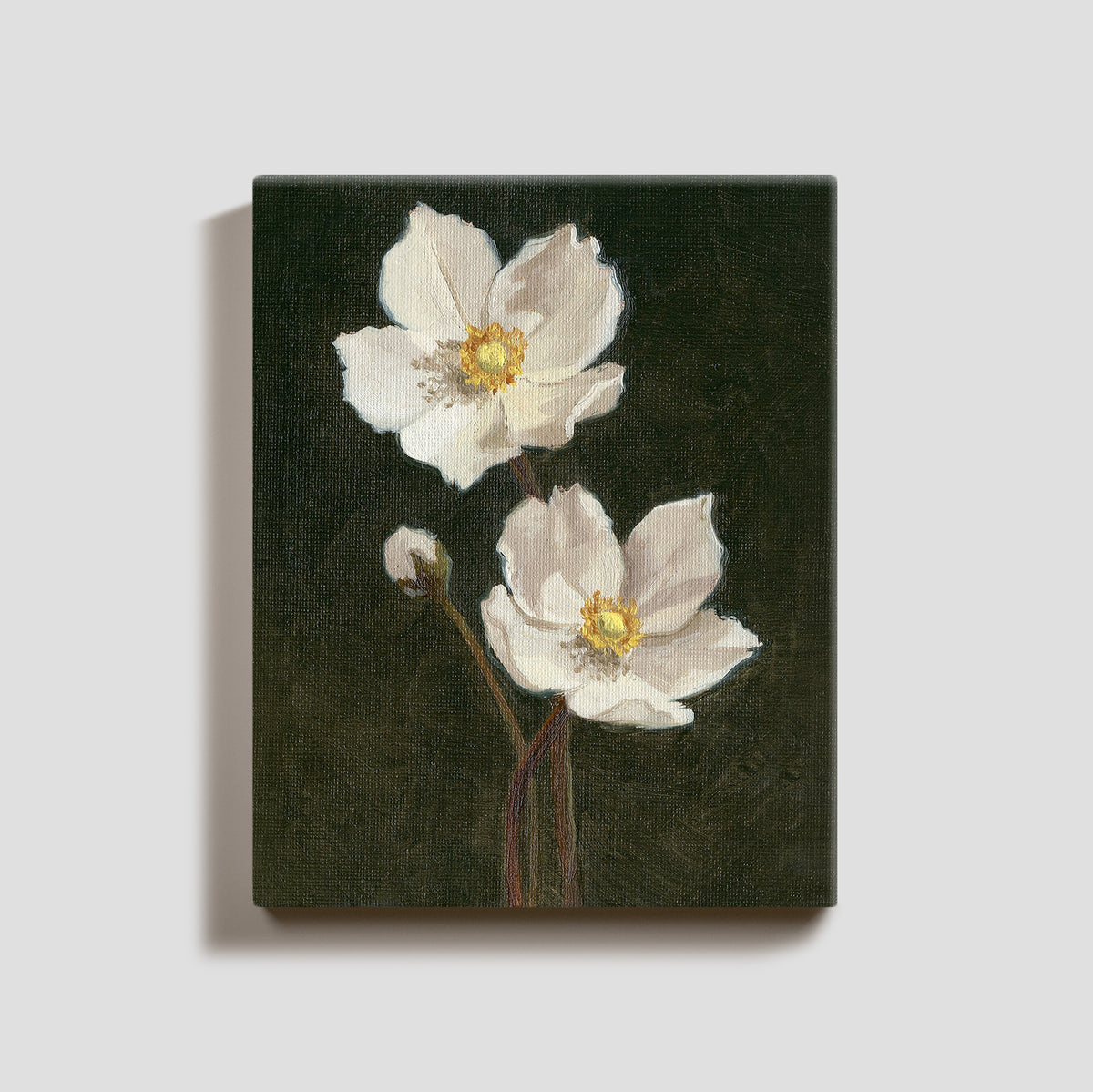 Day 27 - Anemone