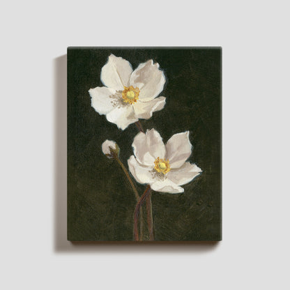 Day 27 - Anemone