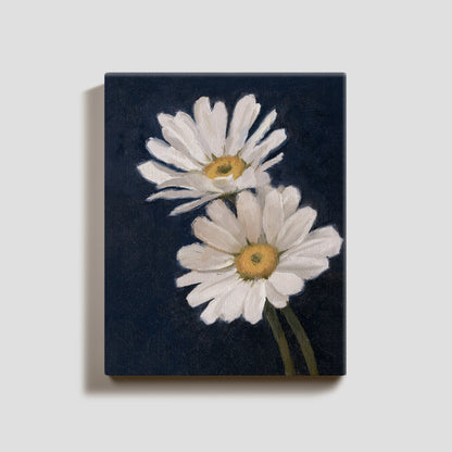 Day 21 - Daisies