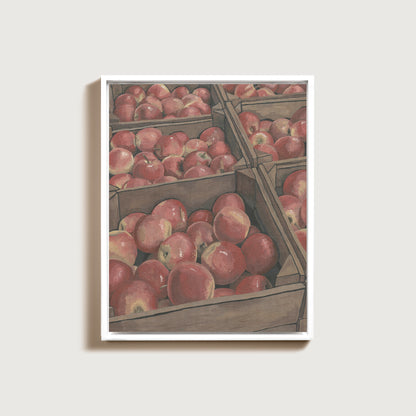 Apple Harvest