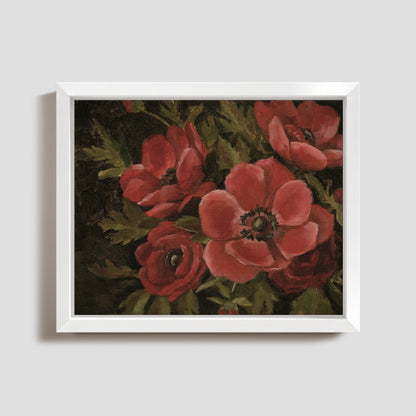 Red Anemones