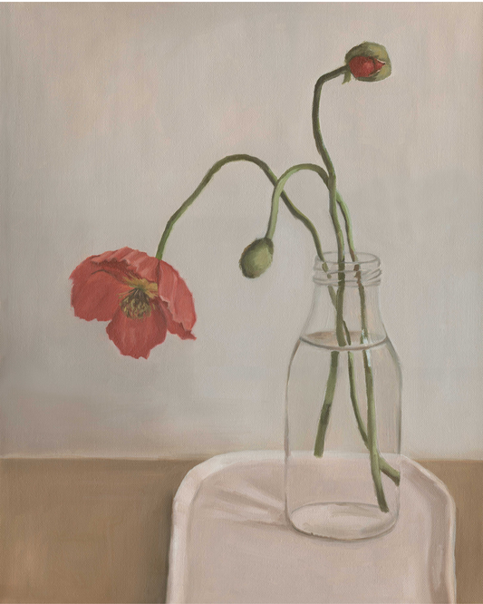 Wild Poppy
